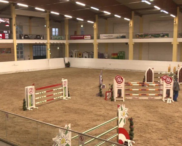 Reitturnier Stadl-Paura 2024