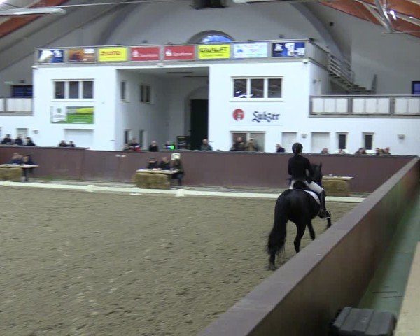 Reitturnier Redefin 2024