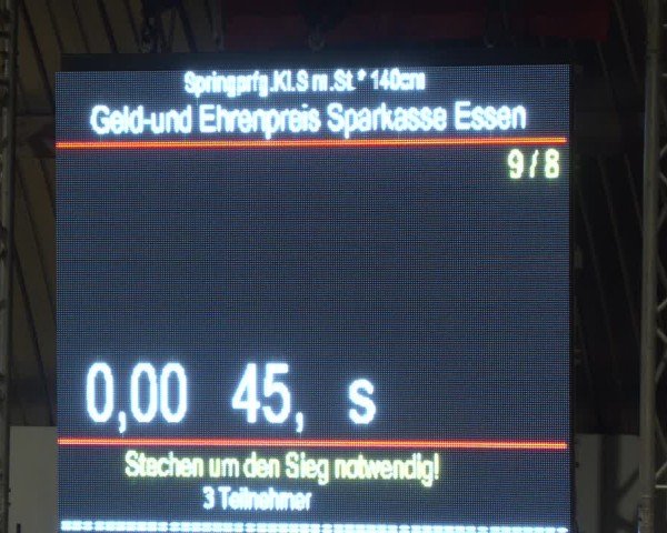 Reitturnier Essen-Stadtwald 2024