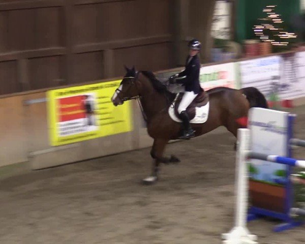 Reitturnier Leck 2024
