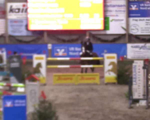 Reitturnier Leck 2024