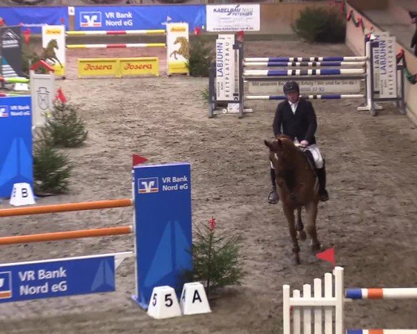 Reitturnier Leck 2024