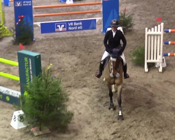 Reitturnier Leck 2024