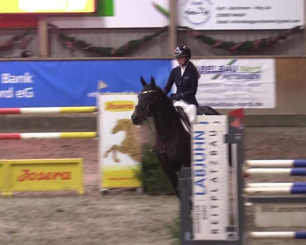 Reitturnier Leck 2024