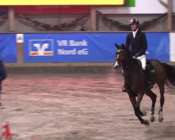 Reitturnier Leck 2024