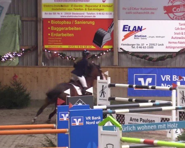 Reitturnier Leck 2024