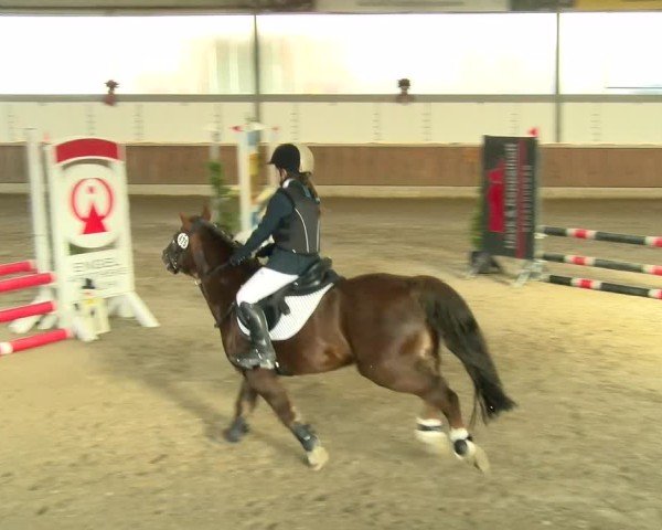 Reitturnier Südlohn-Oeding 2024