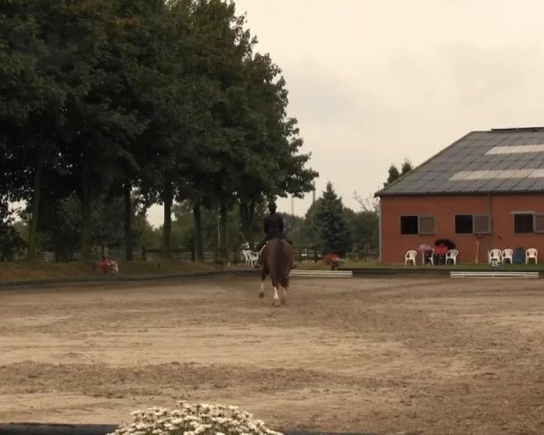 Datteln 2013